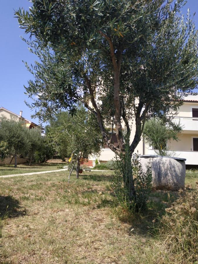 Giovanni Krk Krk Town Kültér fotó